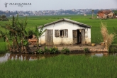 Antananarivo - domek uprostřed rýžových polí