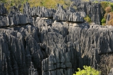 Tsingy de Bemaraha - Grand Tsingy