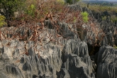 Tsingy de Bemaraha - Grand Tsingy