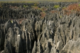 Tsingy de Bemaraha - Grand Tsingy