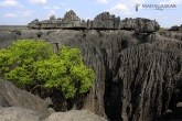 Tsingy de Bemaraha - Grand Tsingy