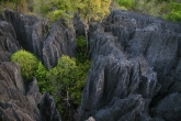 Tsingy de Bemaraha - část Petit Tsingy