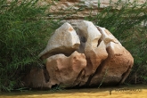 Tsingy de Bemaraha - kaňon řeky Manambolo