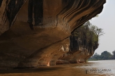 Tsingy de Bemaraha - kaňon řeky Manambolo