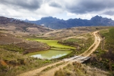 Rýžová pole u NP Andringitra