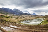 Rýžová pole u NP Andringitra