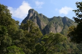 Národní park Marojejy
